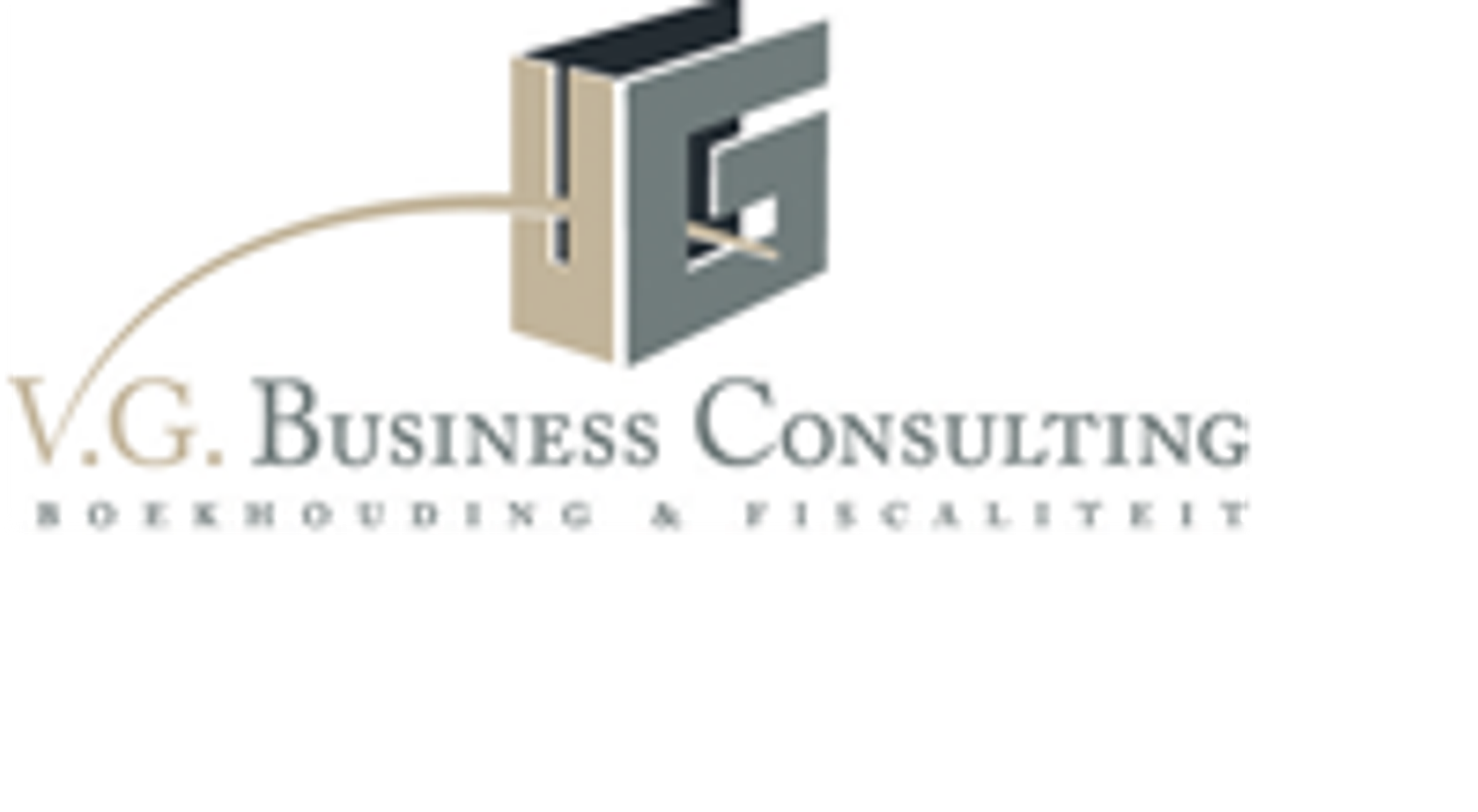 V.G. Business Consulting